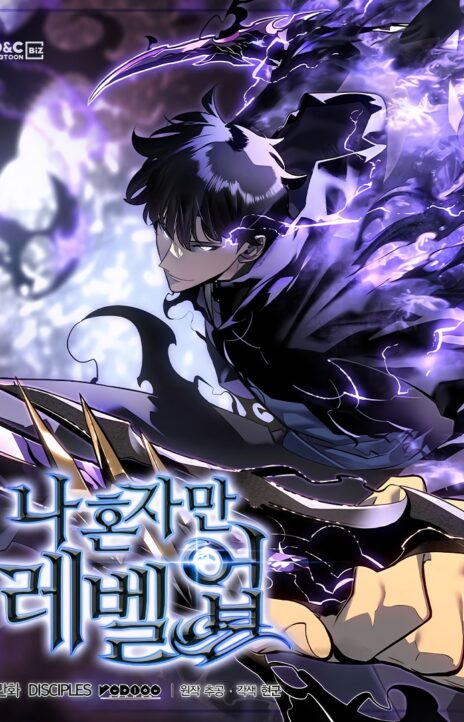 Solo Leveling FR Cover Image