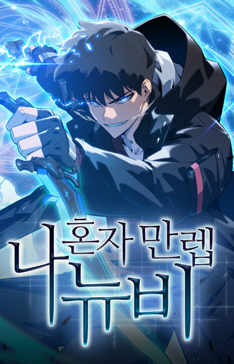 Solo Max Level Newbie FR Cover Image